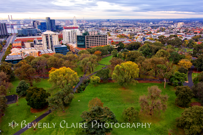 Fall Colors at Flagstaff Gardens in Melbourne