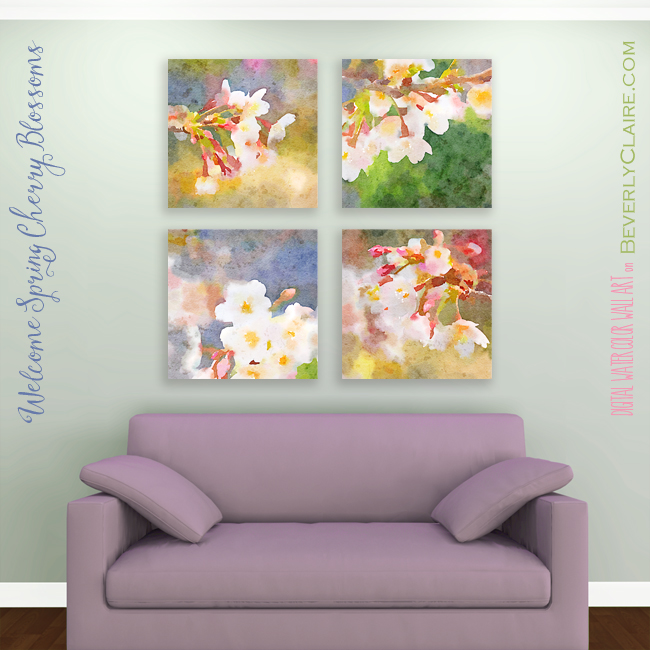 White Cherry Blossoms Digital Watercolor Paintings by Beverly Cl
