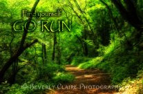 Find Yourself Go Run Magic Forest Motivational